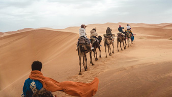 Camel Dubai experience